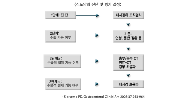 <위내시경 상 진단된 식도암>