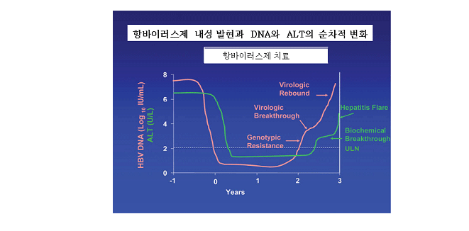 항바이러스제 내성 발현과 DNA와 ALT의 순차적 변화