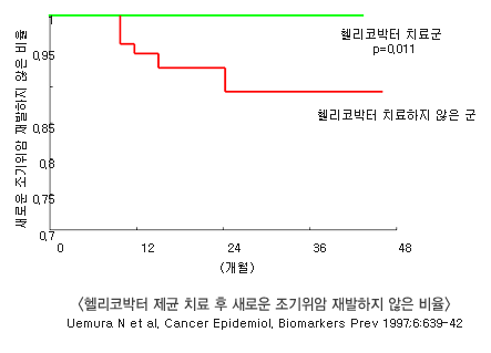 헬리코박터 제균 치료 후 새로운 조기위암 재발하지 않은 비율 그래프