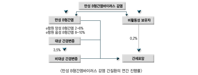 만성 B형간염바이러스 감염 간질환의 연간 진행률 도표