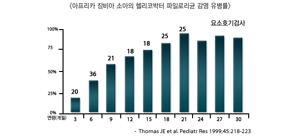 아프리카 잠비아 소아의 헬리코박터 파일로리균 감염 유병률 그래프