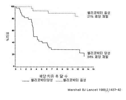 헬리코박터 제균 치료 후 궤양 재발률 비교 그래프